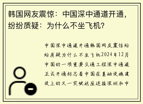 韩国网友震惊：中国深中通道开通，纷纷质疑：为什么不坐飞机？